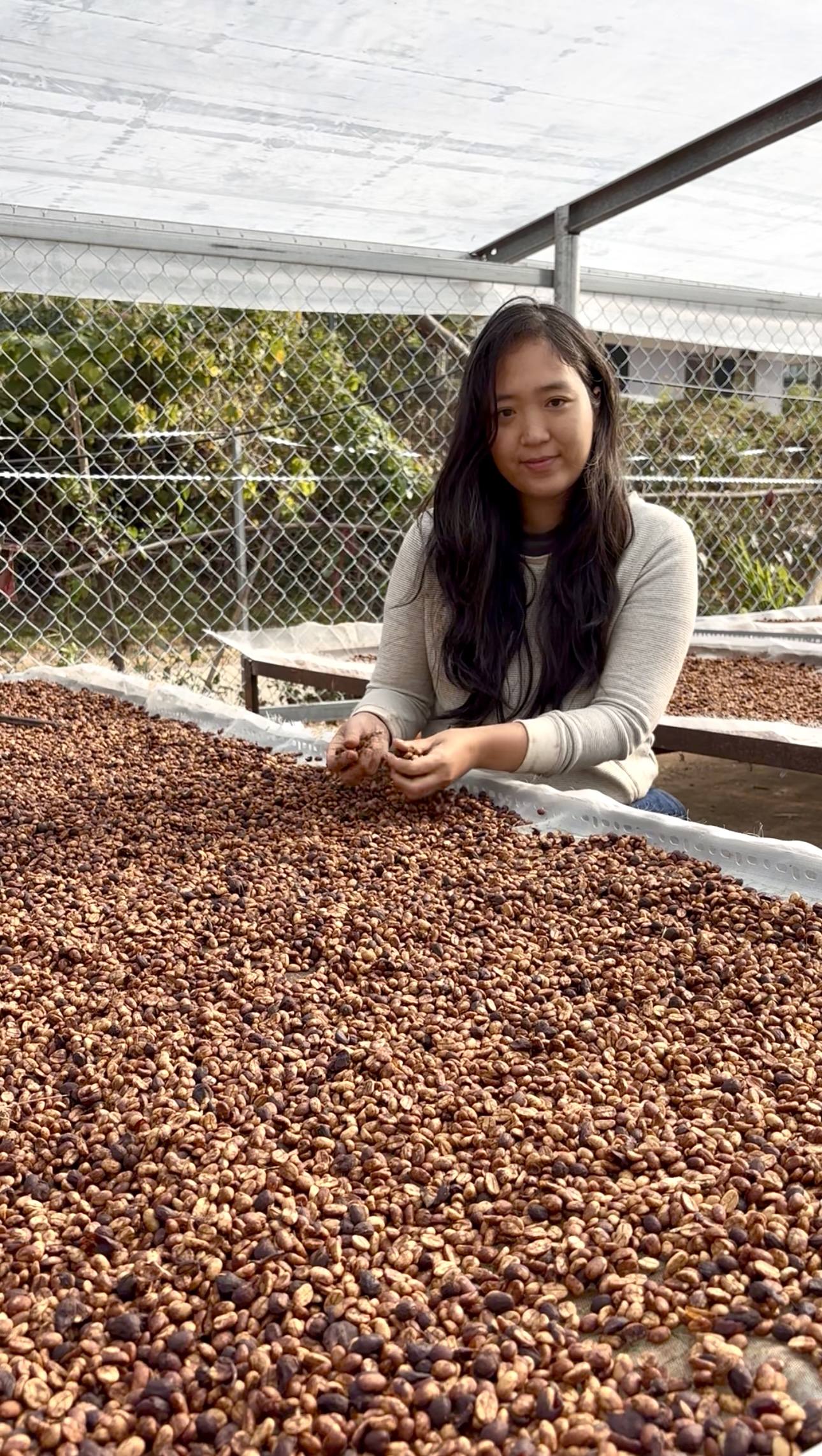 Happy Tree Coffee — Cuptasting