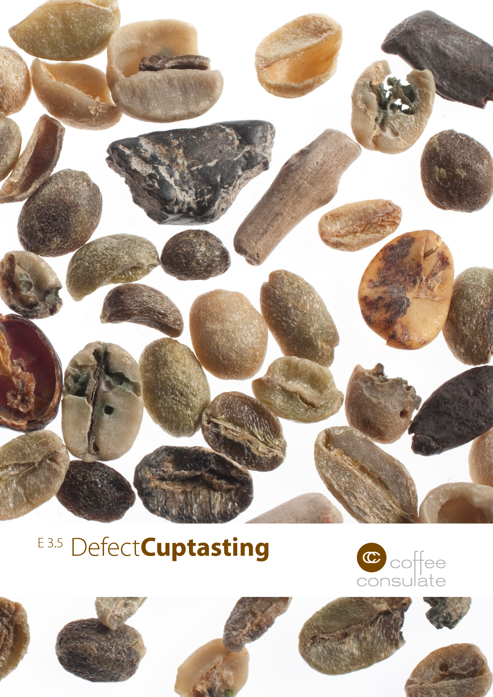 DefektCuptasting